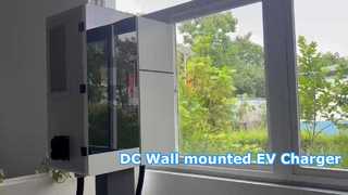 Pengisi Daya Cepat DC 20‑60kW Stasiun Pengisian Daya EV Senjata Tunggal/Ganda OCPP 1.6J